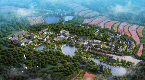 �Ϲ�NG������(�й���)�ٷ���վ