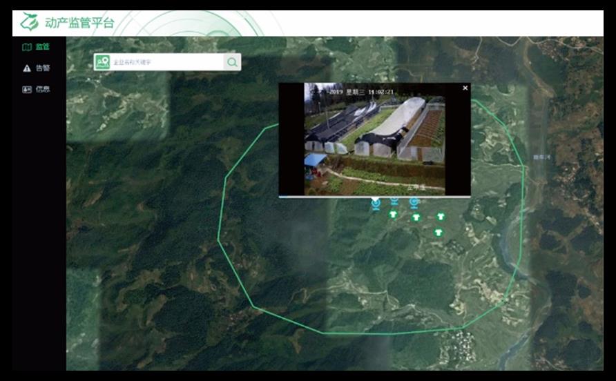 �Ϲ�NG������(�й���)�ٷ���վ