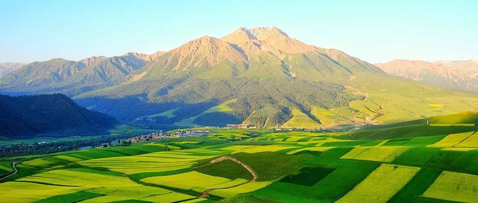 �Ϲ�NG������(�й���)�ٷ���վ