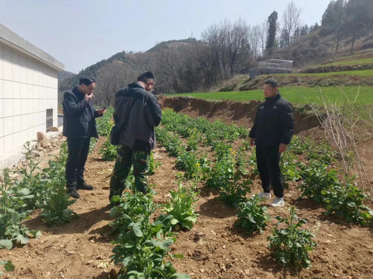 �Ϲ�NG������(�й���)�ٷ���վ