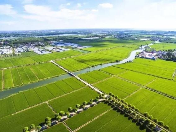 �Ϲ�NG������(�й���)�ٷ���վ