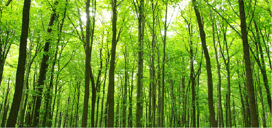 �Ϲ�NG������(�й���)�ٷ���վ